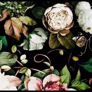 Meet your Posher, Rae lynn